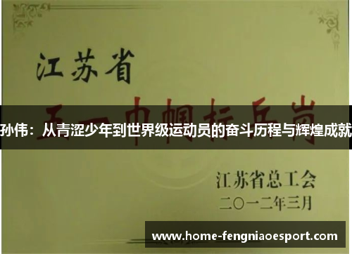 孙伟：从青涩少年到世界级运动员的奋斗历程与辉煌成就