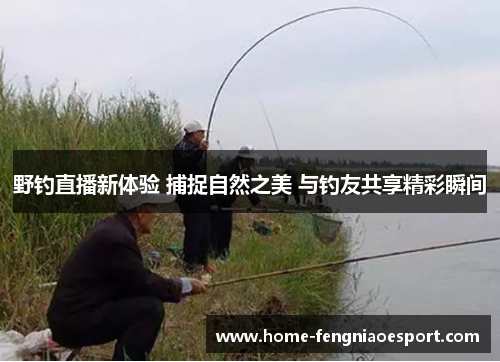野钓直播新体验 捕捉自然之美 与钓友共享精彩瞬间